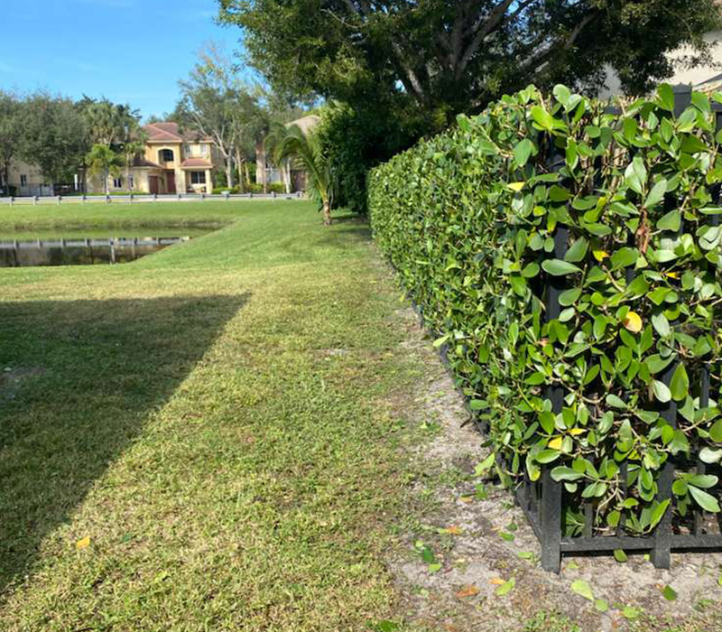 Towing services in Hesperia